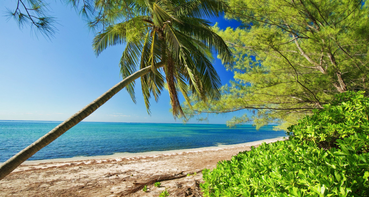 300' of Beach, Frank Sound Perfect for Estate, Resort or Development Site - Image 18