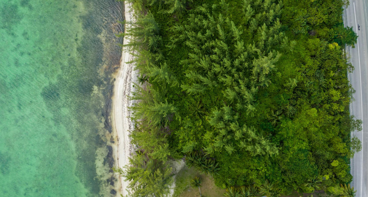 300' of Beach, Frank Sound Perfect for Estate, Resort or Development Site - Image 14