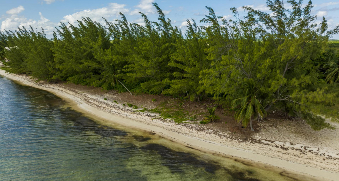 300' of Beach, Frank Sound Perfect for Estate, Resort or Development Site - Image 13