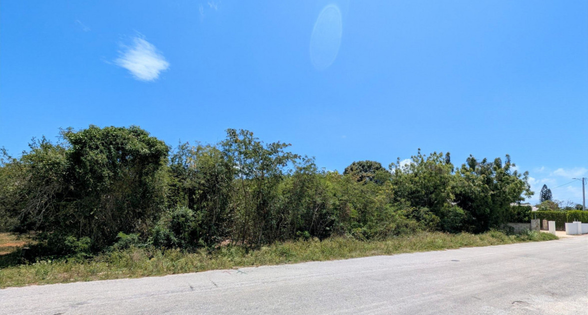 .40 Acre - BOUGAINVILLEA WAY -  SAVANNAH - Image 1