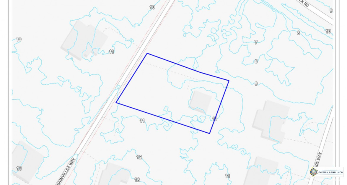 .40 Acre - BOUGAINVILLEA WAY -  SAVANNAH - Image 3