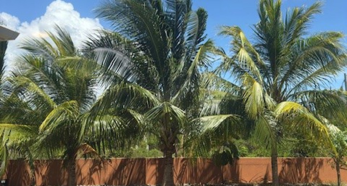 6 Bedroom across from Beautiful Breakers Beach - Image 33