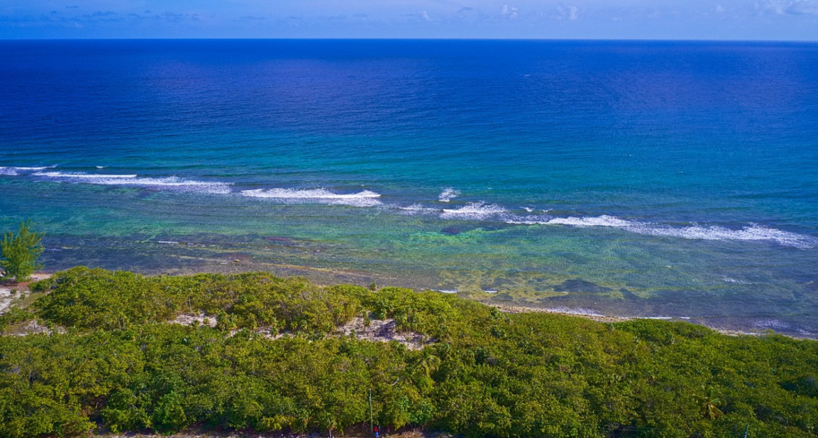 Beachfront Brac Hotel Zone 2.5acres - Image 3