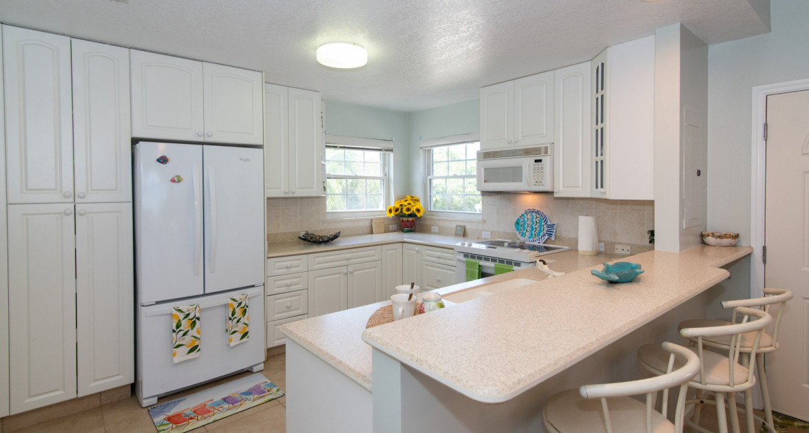 BEACHFRONT NORTHSIDE CONDO NORTHERN LIGHTS 4 - Image 4