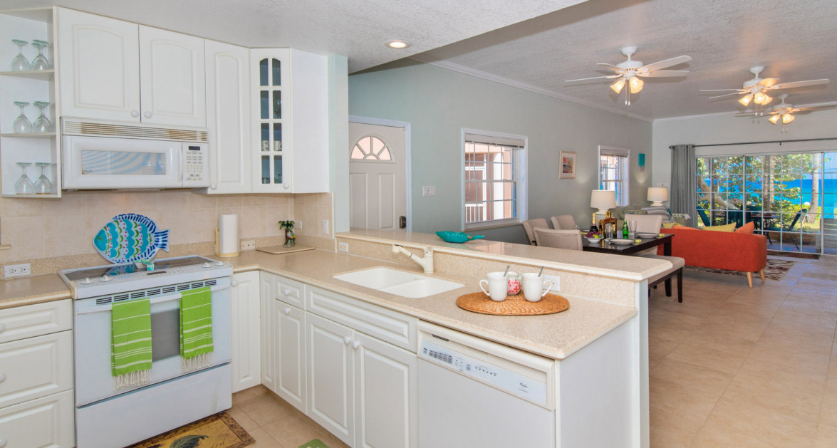 BEACHFRONT NORTHSIDE CONDO NORTHERN LIGHTS 4 - Image 6