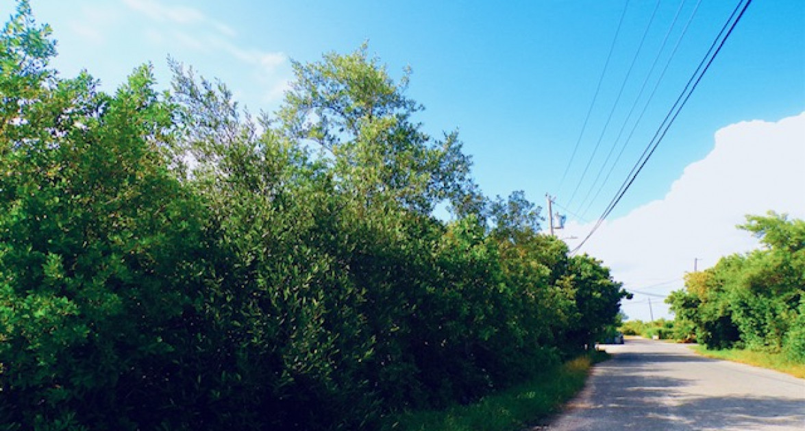 BODDEN TOWN LOT .30 Acres - Image 1