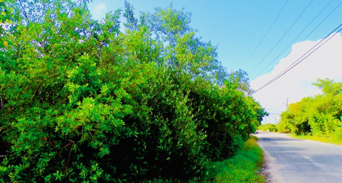 BODDEN TOWN LOT .30 Acres