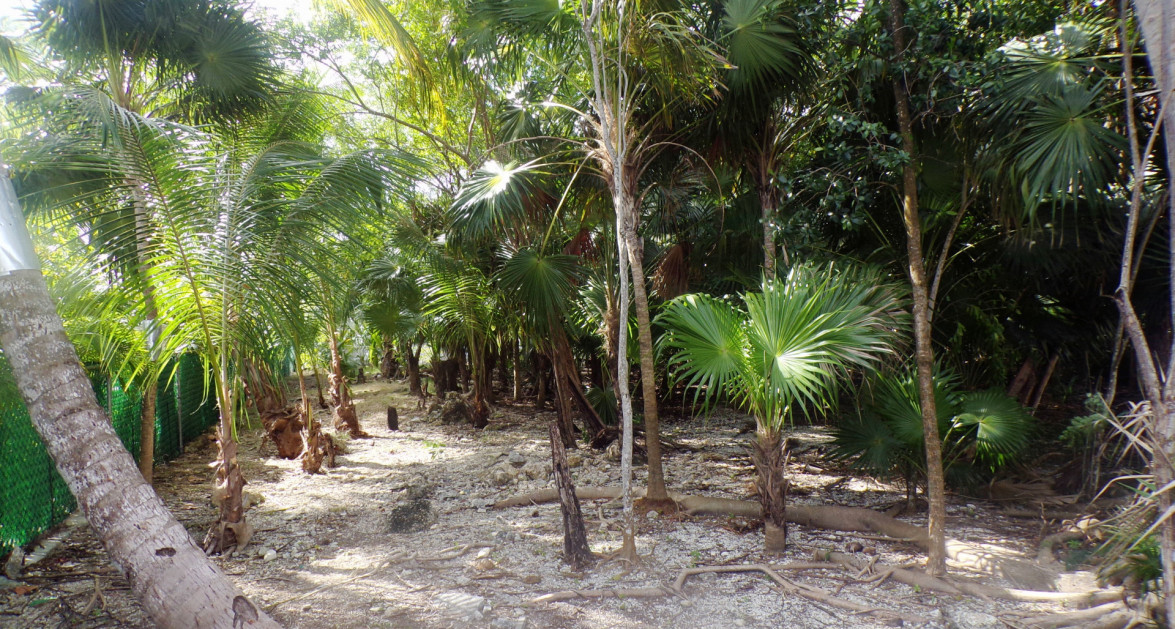 CANAL FRONT, FILLED LAND, NORTH SOUND ESTATES - Image 1