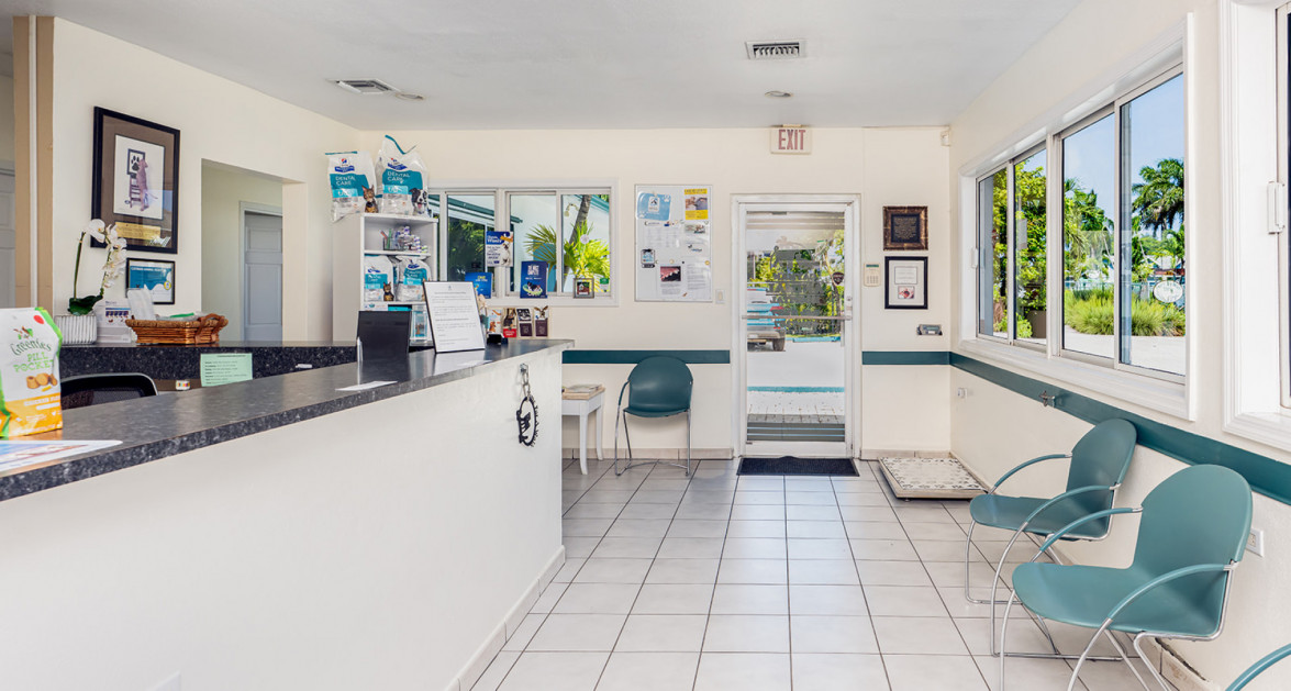 Cayman Animal Hospital on Crewe Road - Image 8