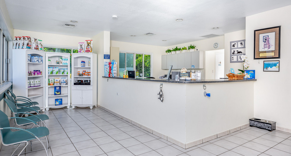 Cayman Animal Hospital on Crewe Road - Image 10