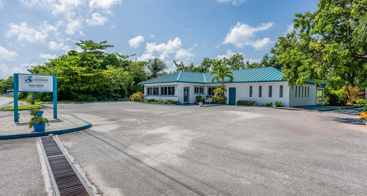 Cayman Animal Hospital on Crewe Road - Image 6