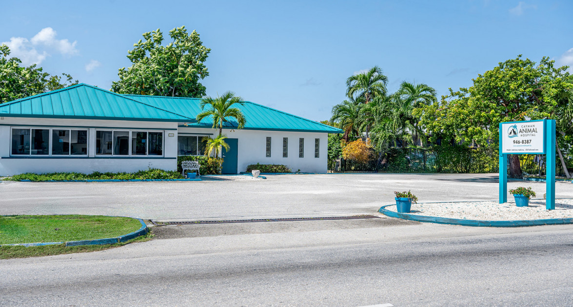 Cayman Animal Hospital on Crewe Road - Image 3
