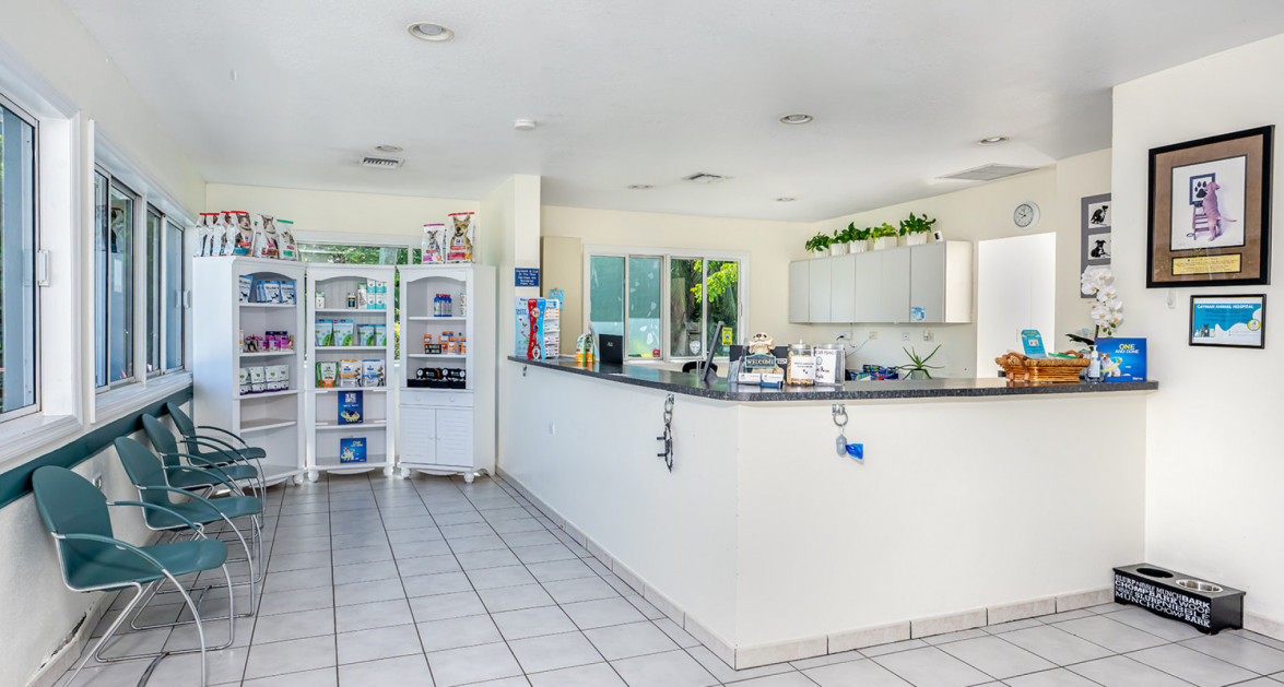 Cayman Animal Hospital on Crewe Road - Image 9