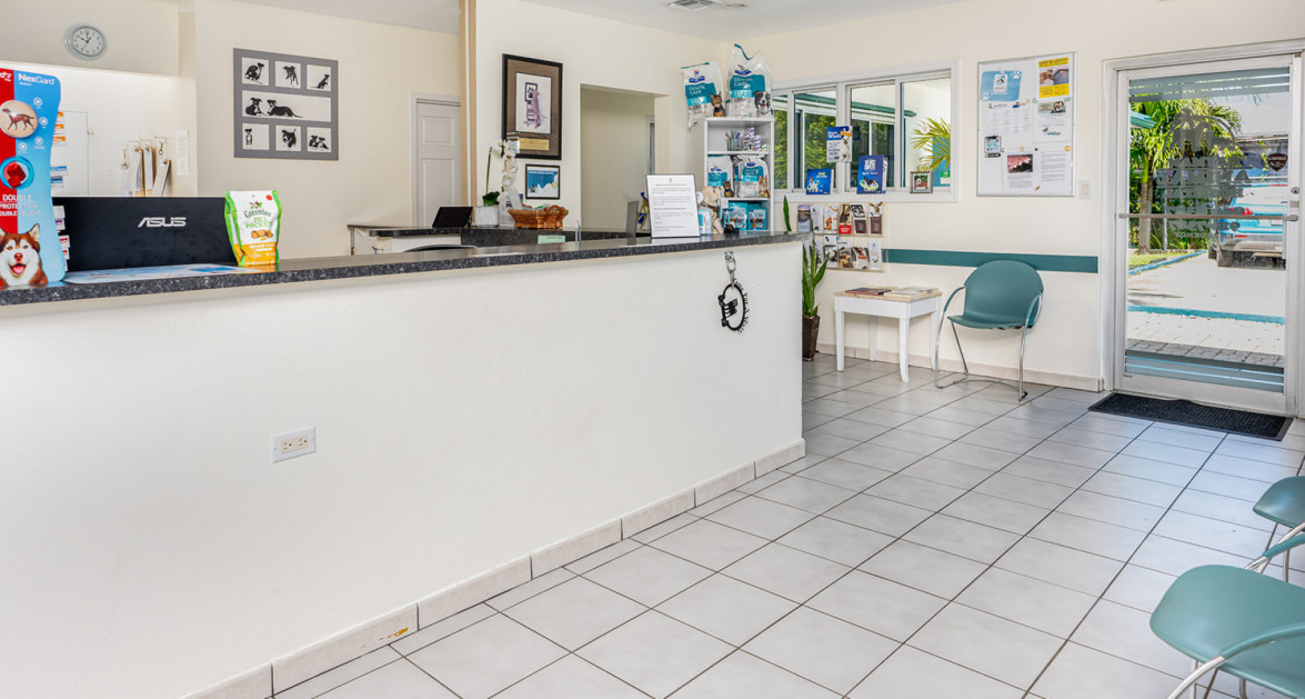 Cayman Animal Hospital on Crewe Road - Image 7