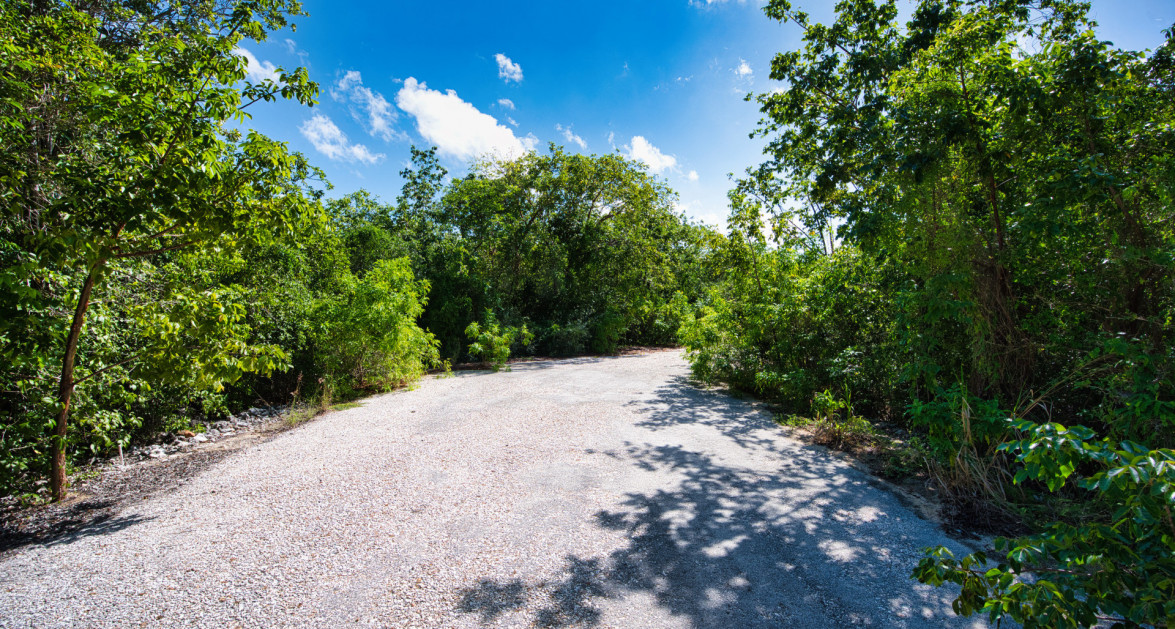 Cayman Brac Inland Parcel - OWNER FINANCING OFFERED!! - Image 8