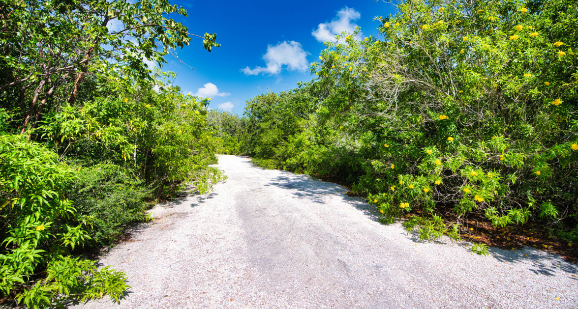 Cayman Brac Inland Parcel - OWNER FINANCING OFFERED!! - Image 5