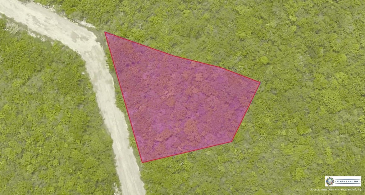 Cayman Brac Inland Parcel - OWNER FINANCING OFFERED!! - Image 3