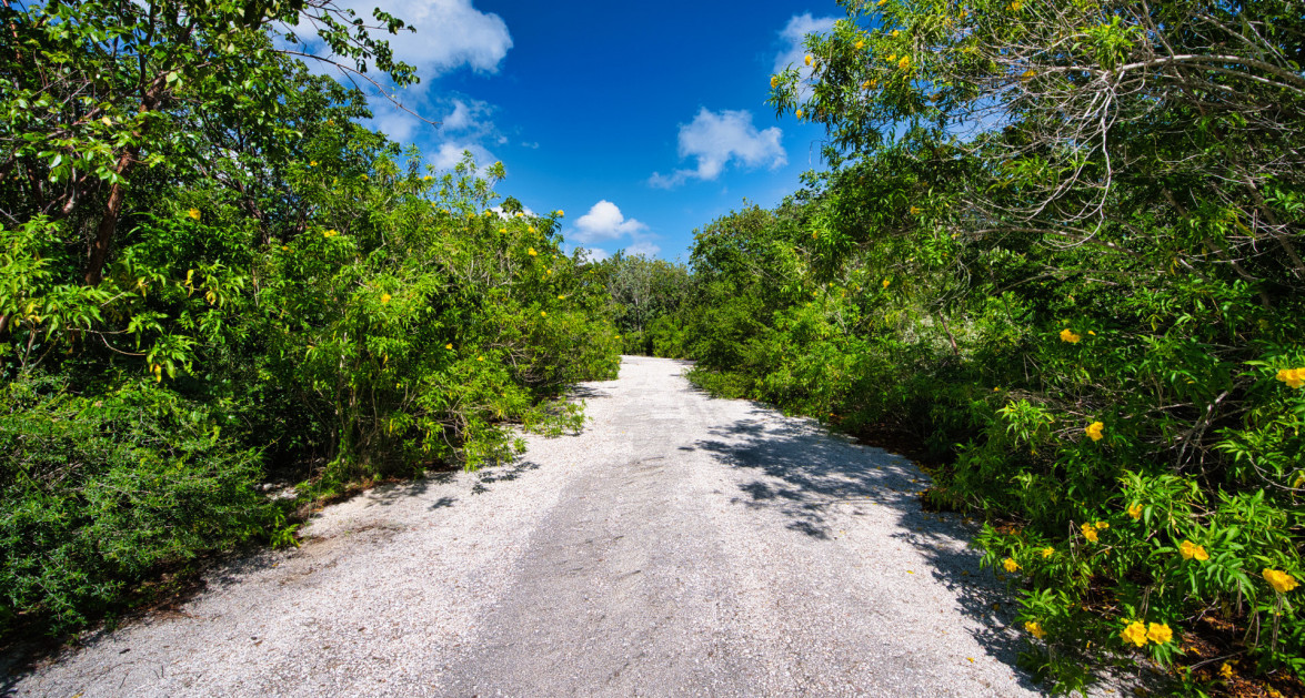 Cayman Brac Inland Parcel - OWNER FINANCING OFFERED!! - Image 7