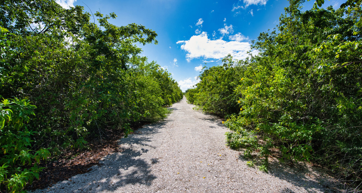 Cayman Brac Inland Parcel - OWNER FINANCING OFFERED!! - Image 10