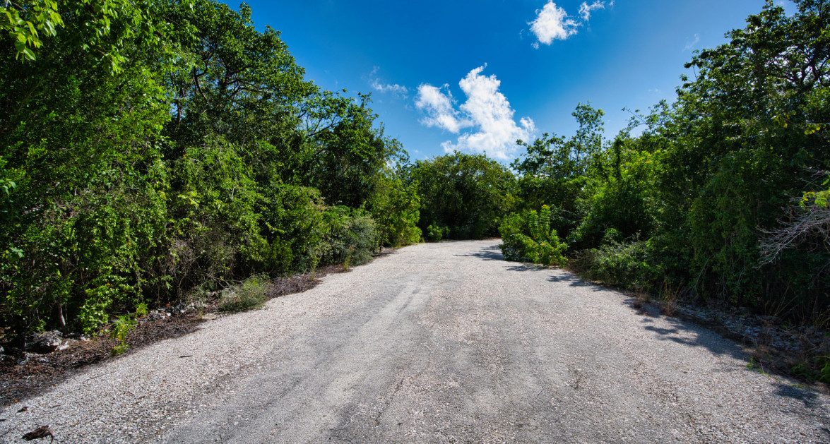 Cayman Brac Inland Parcel - OWNER FINANCING OFFERED!! - Image 9