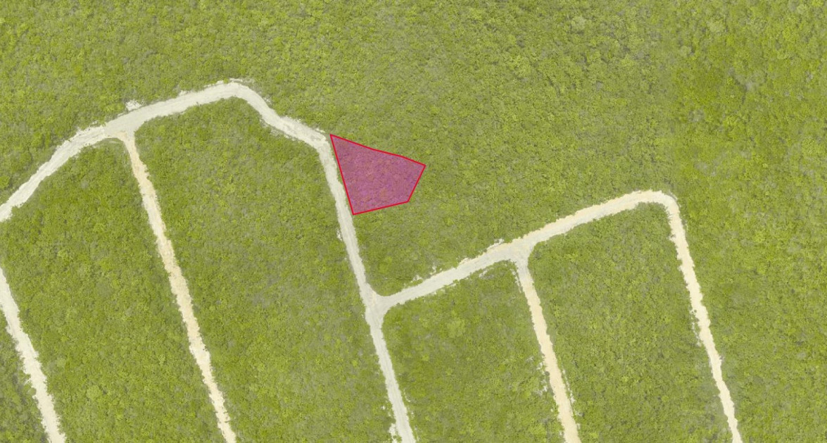 Cayman Brac Inland Parcel - OWNER FINANCING OFFERED!! - Image 6