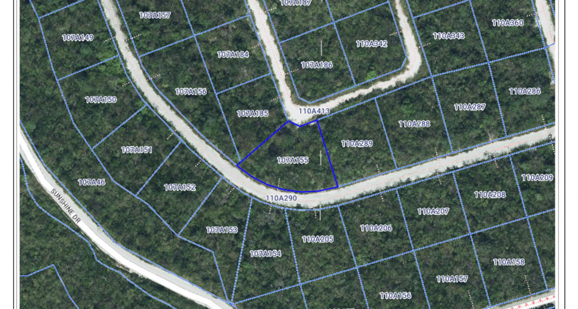 CAYMAN BRAC LOT .2975 ACRE LAND - Image 3