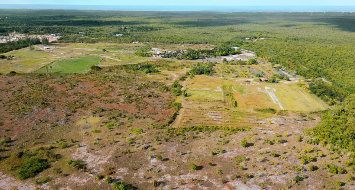 Cayman Growers | East End - 30.5 acre Inland Parcels with Water Lens - Image 5
