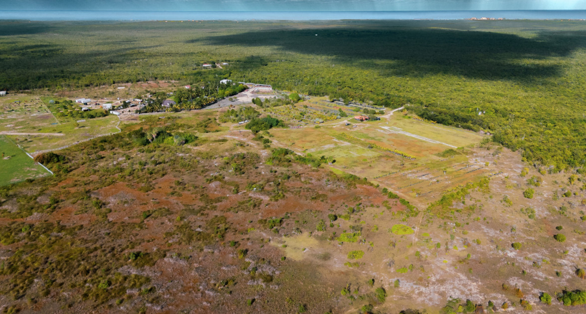 Cayman Growers | East End - 30.5 acre Inland Parcels with Water Lens - Image 6