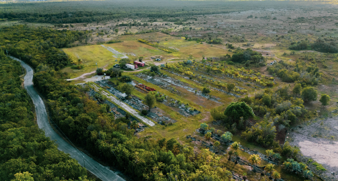 Cayman Growers | East End - 30.5 acre Inland Parcels with Water Lens - Image 2