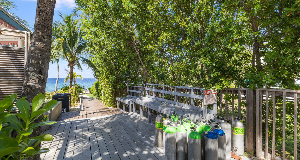 COCONUT BAY #121 - Image 25