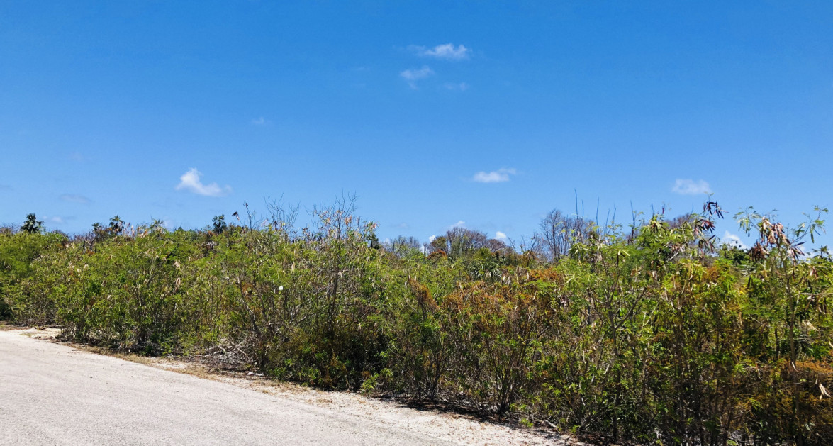 Colliers Duplex Lot - .32 Acres - Image 1