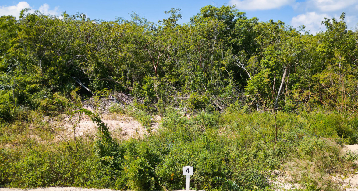 COPPER RIDGE - LOT #4 - PHASE 2