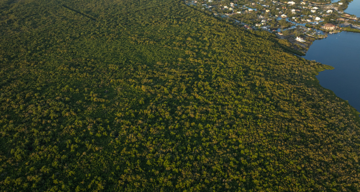 DEVELOPMENT LAND WITH POTENTIAL ACCESS TO NORTH SOUND | 152 ACRES WATER FRONT - Image 10