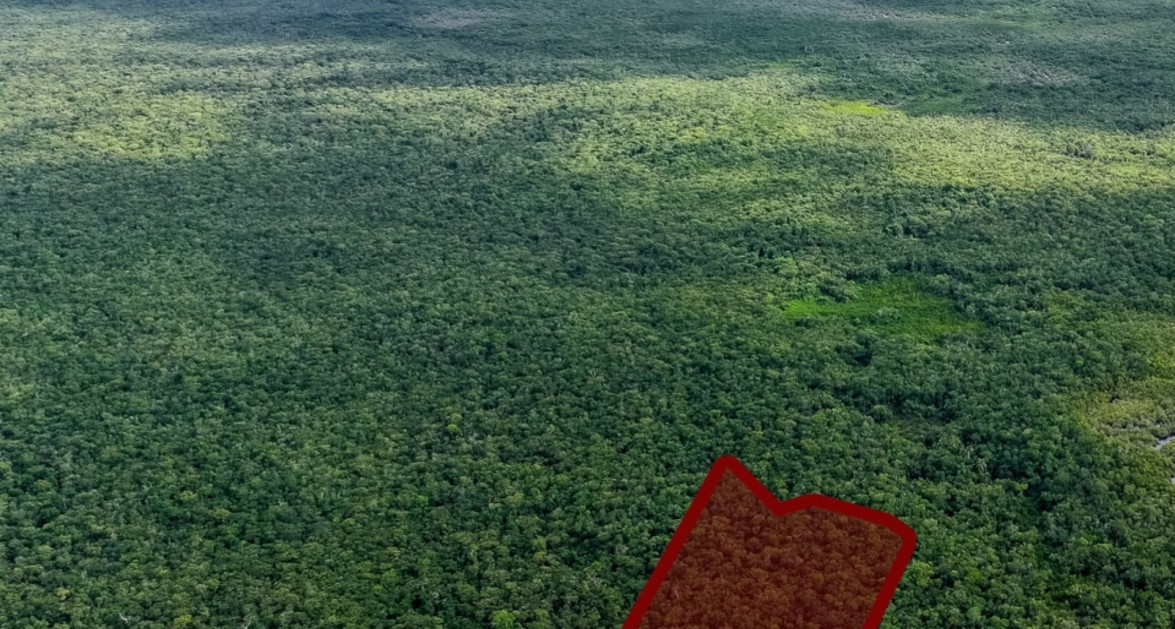 Exceptional 11.9 Acre Agricultural/Residential Opportunity in North Side - Image 2