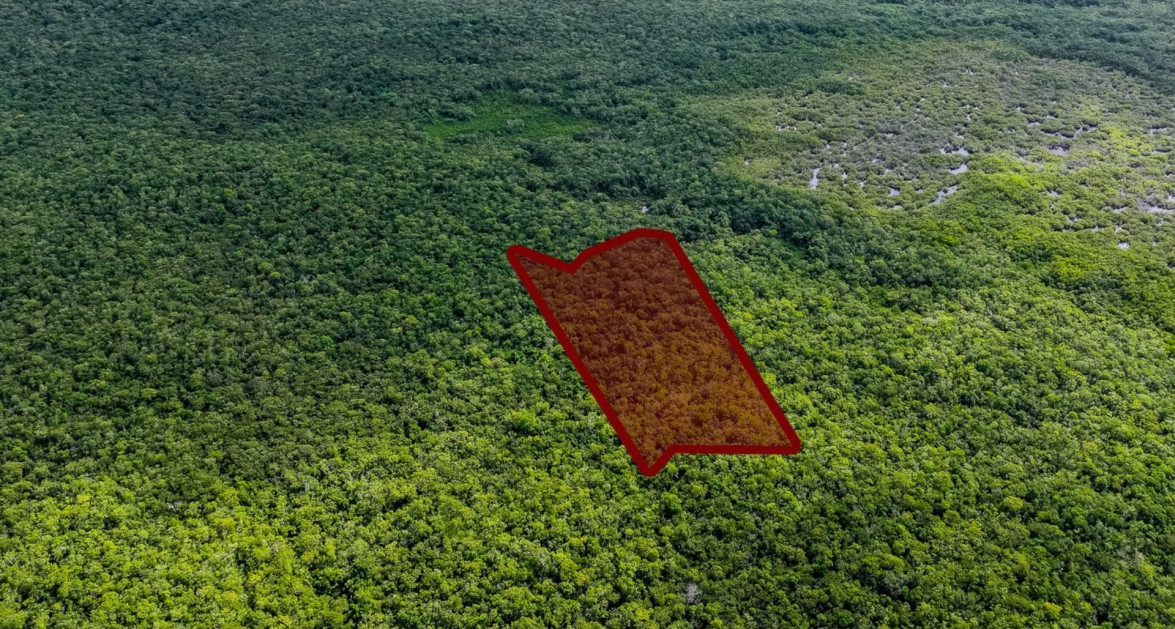 Exceptional 11.9 Acre Agricultural/Residential Opportunity in North Side - Image 1