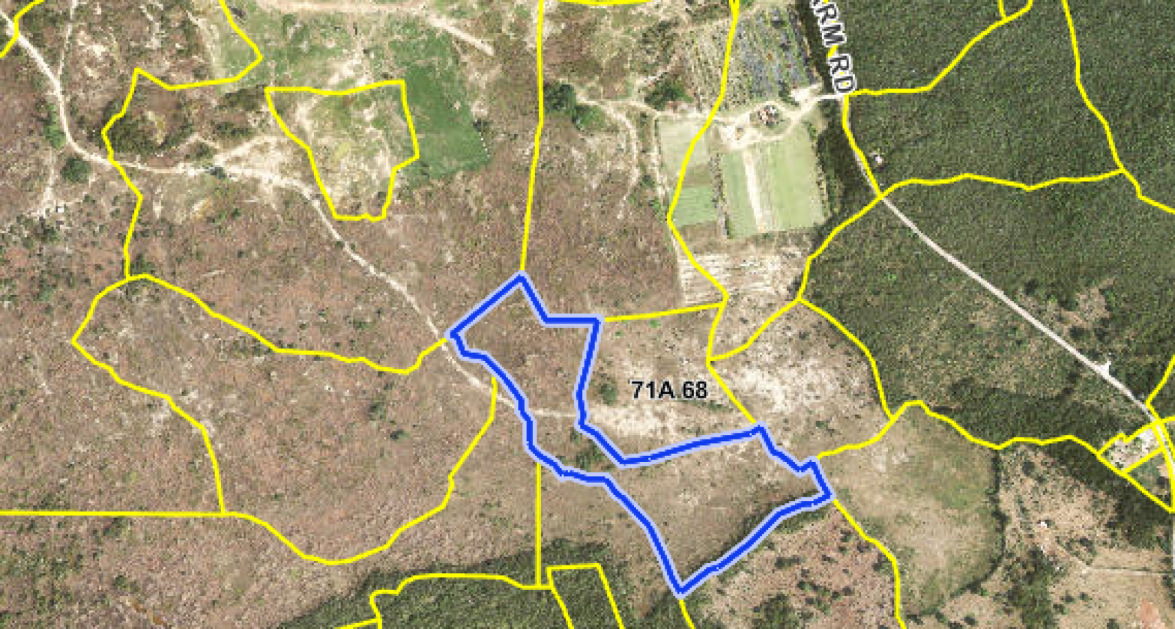 Farm Road, East End10-Acre Development Parcel - Image 1