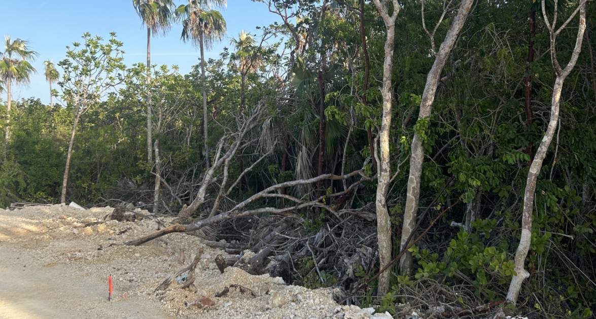 Garland Estates Lot #2 - Image 3