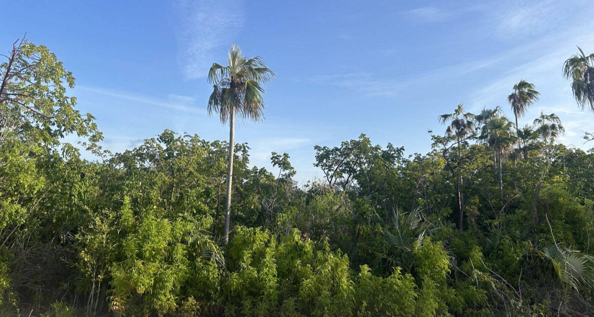 Garland Estates Lot #47 - Image 2