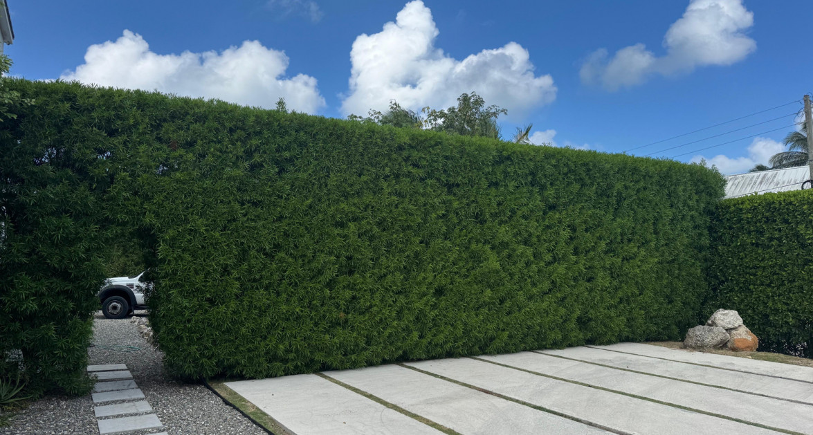 "Hideaway Hill" Lush Modern Elegance close to sea access - Image 6