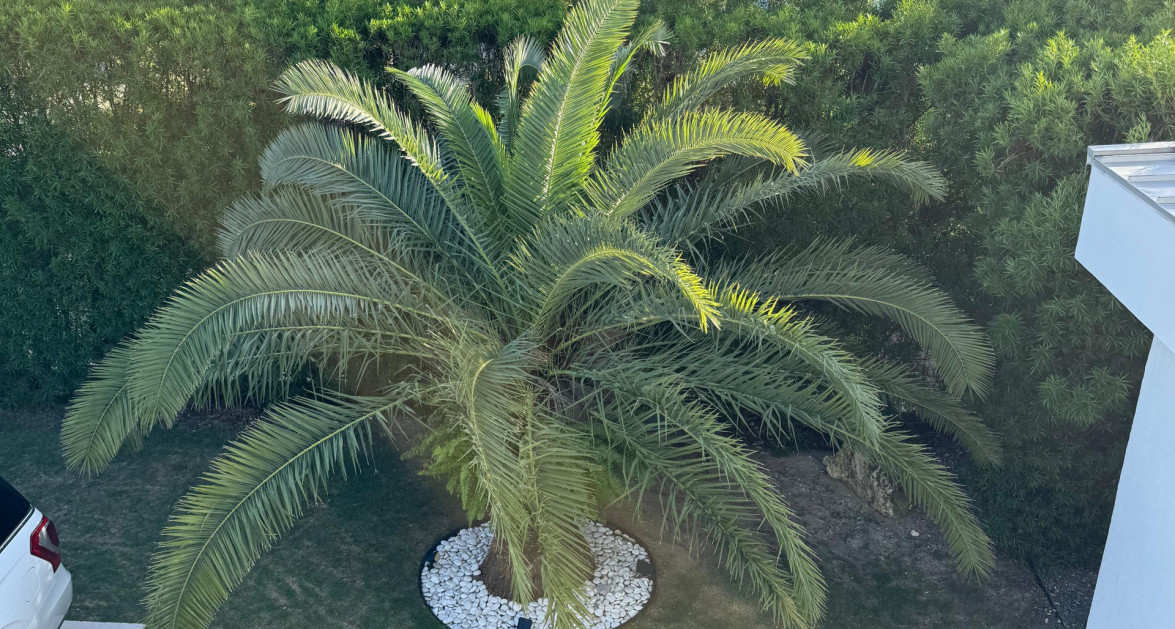 "Hideaway Hill" Lush Modern Elegance close to sea access - Image 16