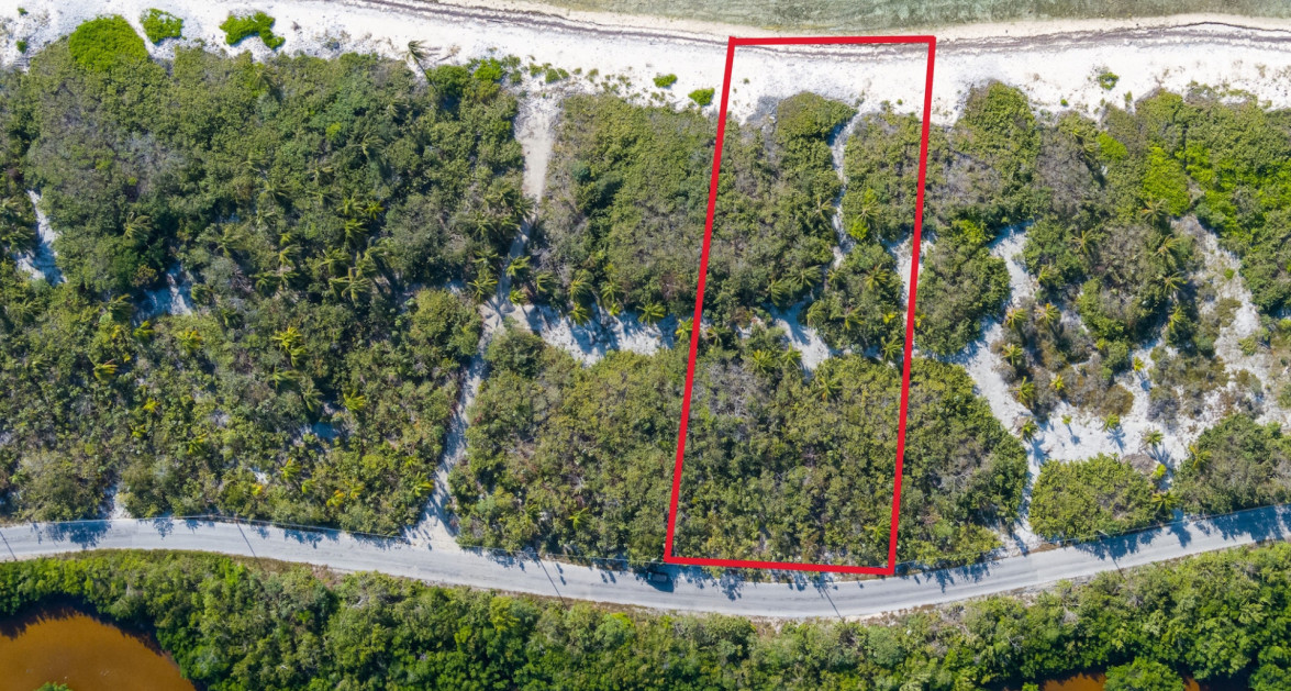 Little Cayman Beachfront Acreage - Image 3