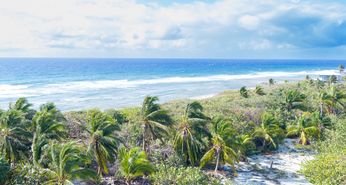 Little Cayman Beachfront Acreage - Image 6