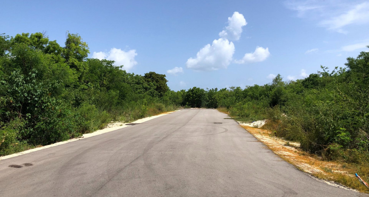 Mahogany Grove Lot 1 - Image 4