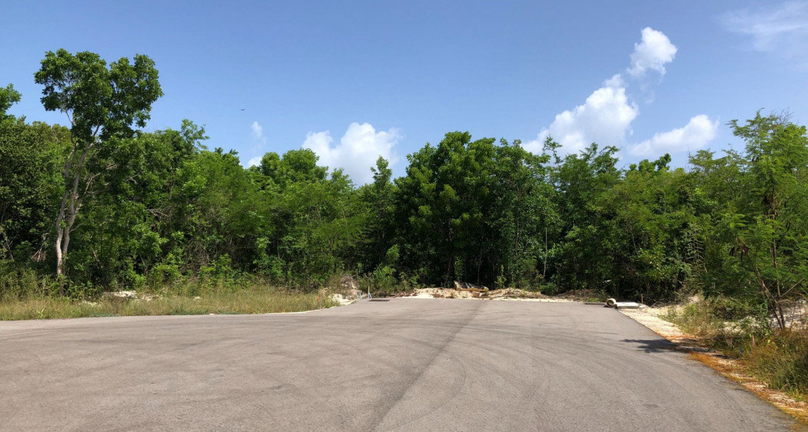 Mahogany Grove Lot 1 - Image 7