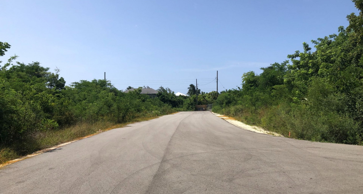 Mahogany Grove Lot 5 - Image 9