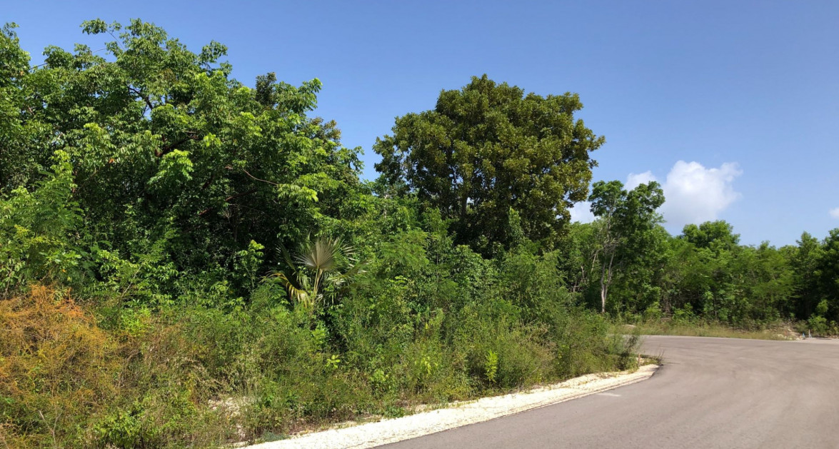 Mahogany Grove Lot 5 - Image 6