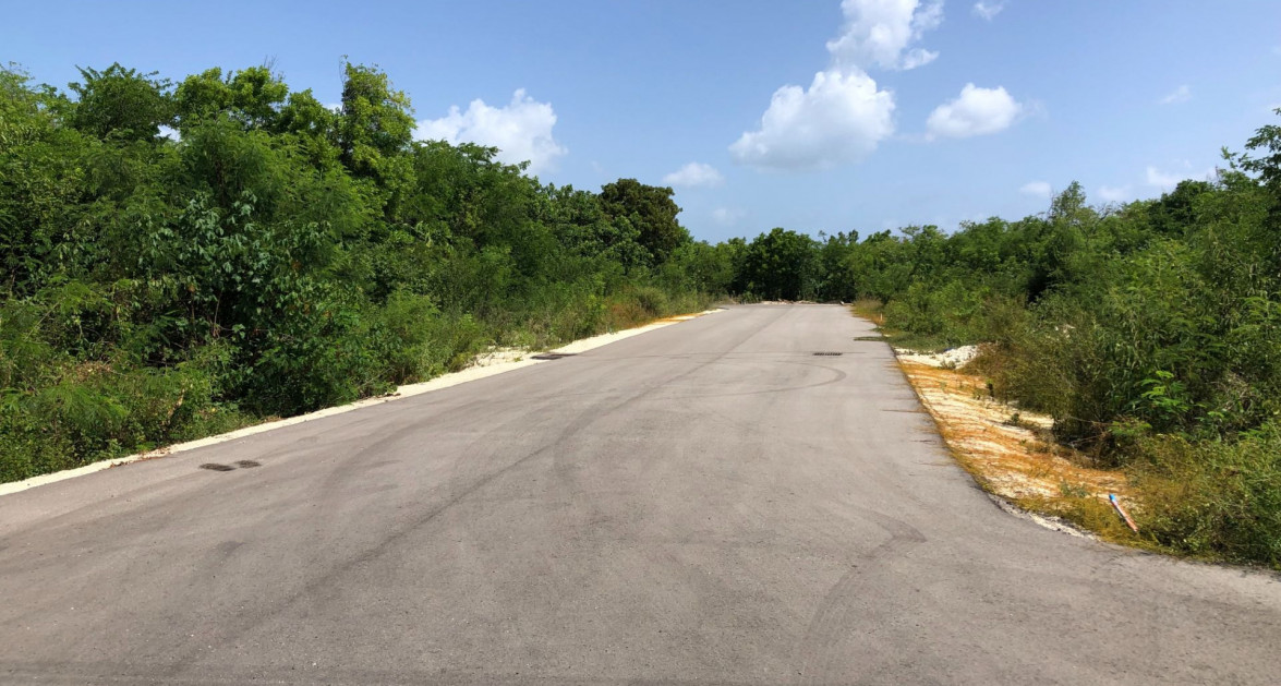 Mahogany Grove Lot 5 - Image 4