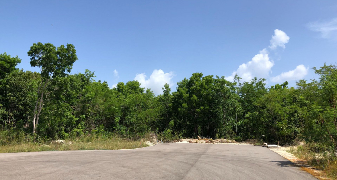 Mahogany Grove Lot 7 - Image 7