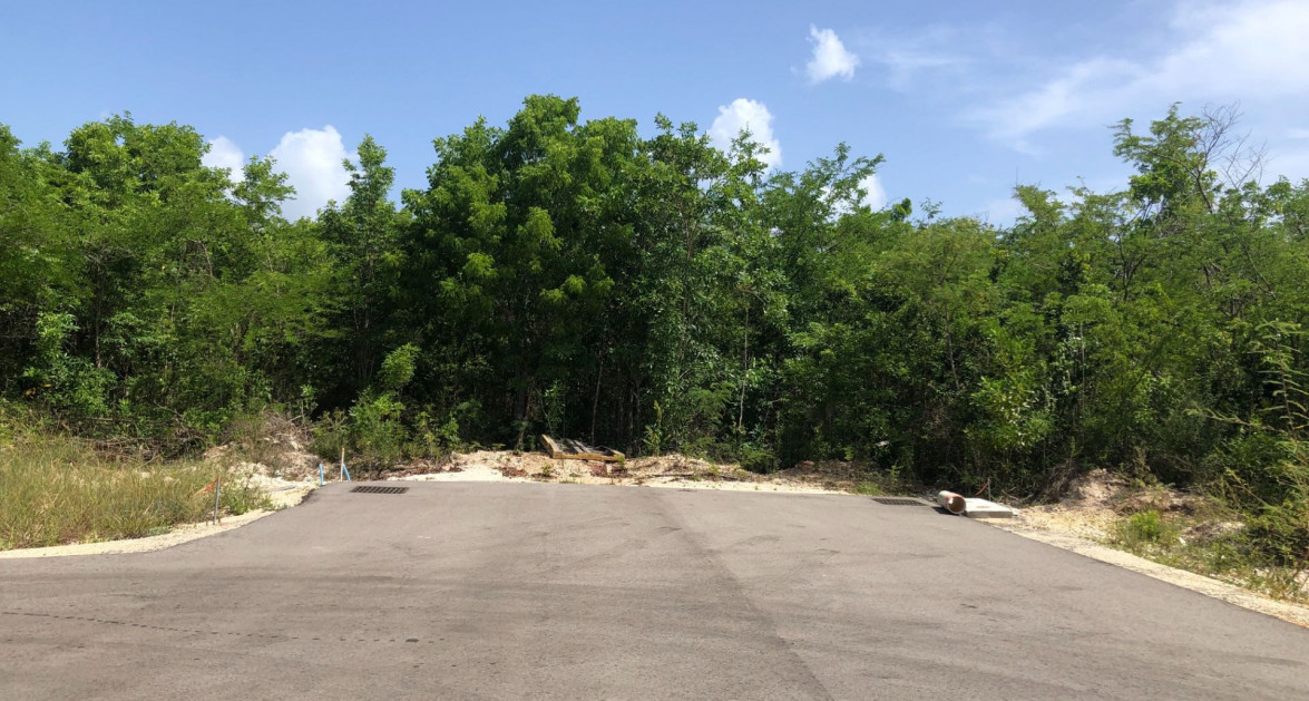 Mahogany Grove Lot 7 - Image 5