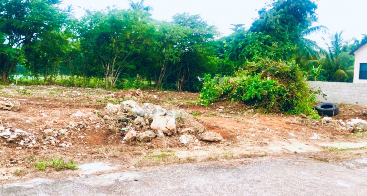 MAYFAIR CRESCENT-NORTHWARD 0.2870 ACRE FILLED LAND - Image 4